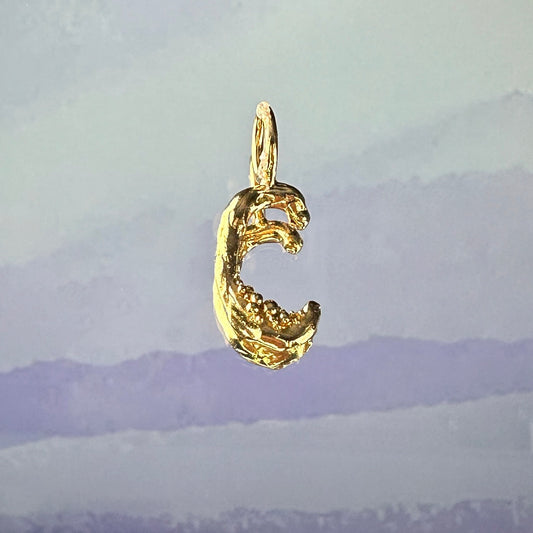 Sterling silver 'C' pendant